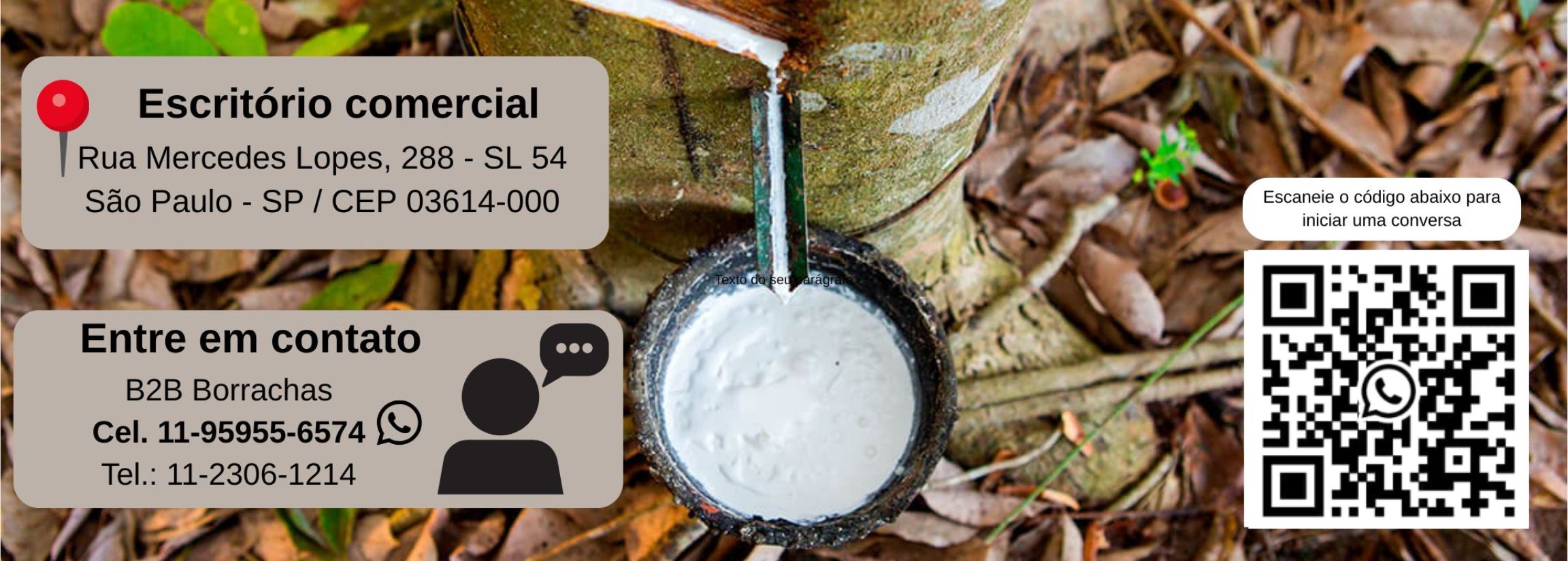 Rodapé site b2b.jpg